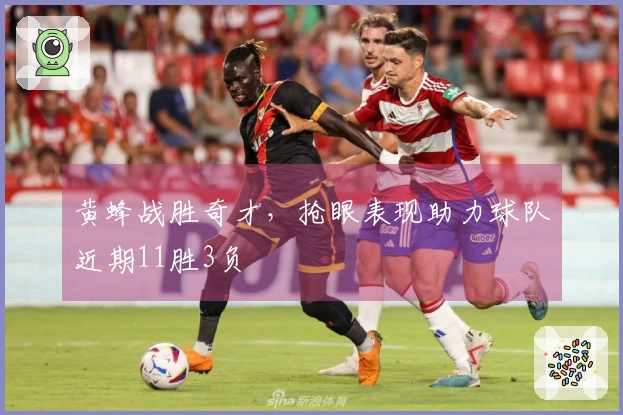 黄蜂战胜奇才，抢眼表现助力球队近期11胜3负